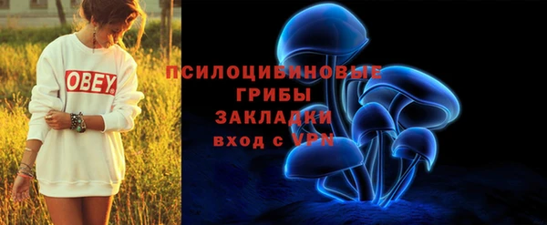 ПСИЛОЦИБИНОВЫЕ ГРИБЫ Бронницы