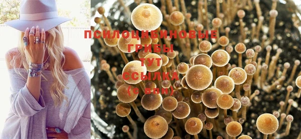 бутират Бежецк
