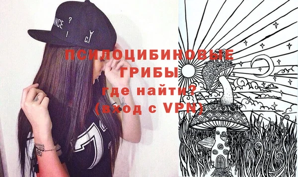 стафф Верхний Тагил