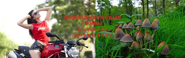 ALPHA-PVP Богородск