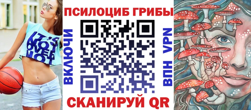 Псилоцибиновые грибы GOLDEN TEACHER даркнет сайт blacksprut как войти Бронницы