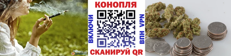 Шишки марихуана THC 21%  где найти   Бронницы 